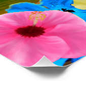 トロピカルサンセット ポスター (コーナー)