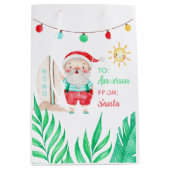 トロピカルサンタ抱き枕 ミディアムペーパーバッグ (正面)