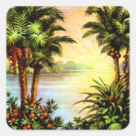 トロピカルサンライズ スクエアシール