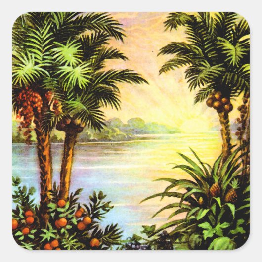 トロピカルサンライズ スクエアシール (正面)