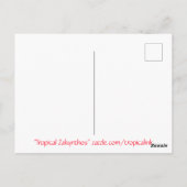 トロピカルザキントス ポストカード (裏面)