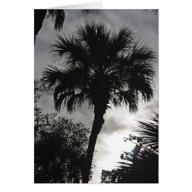 トロピカルシルエット (正面)