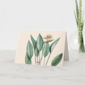 トロピカルジャングルバナナツリーストレリツィアサンキュー カード (裏面)