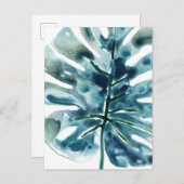 トロピカルジュエルパーム ポストカード (正面/裏面)