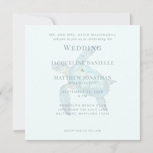 トロピカルスクエア結婚ウミガメ (正面)