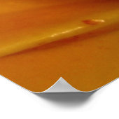 トロピカルスターフルーツ ポスター (角)