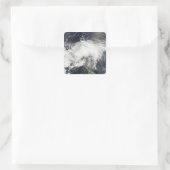 トロピカルストームアーサー スクエアシール (バッグ)