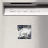 トロピカルストームアーサー マグネット (インサイチュ (食洗機))