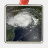 トロピカルストームエドヤード2 メタルオーナメント (正面)