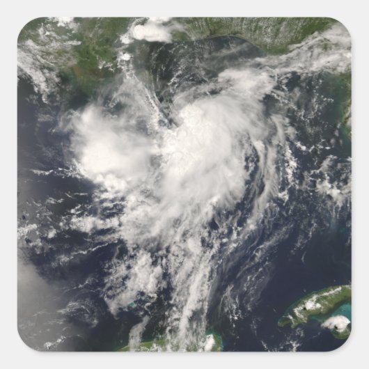 トロピカルストームエドヤード スクエアシール (正面)