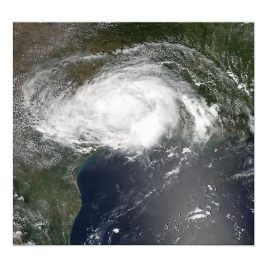 トロピカルストームエドヤード フォトプリント            (正面)