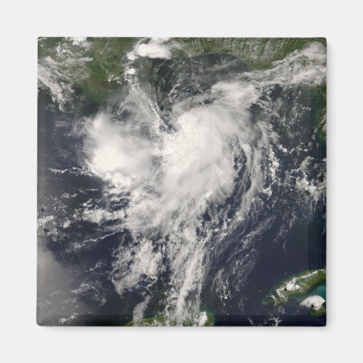 トロピカルストームエドヤード マグネット (正面)