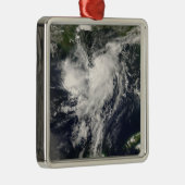 トロピカルストームエドヤード メタルオーナメント (右)