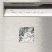 トロピカルストームカムプリ マグネット (インサイチュ (食洗機))