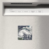 トロピカルストームカール マグネット (インサイチュ (食洗機))