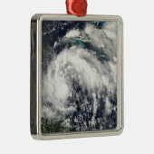 トロピカルストームカール メタルオーナメント (右)