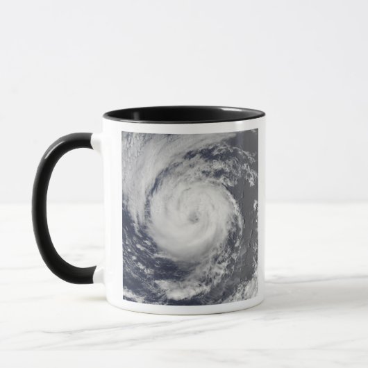 トロピカルストームギレルモ マグカップ (左)