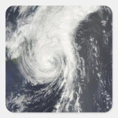 トロピカルストームクロヴァン スクエアシール (正面)