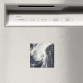 トロピカルストームクロヴァン マグネット (インサイチュ (食洗機))