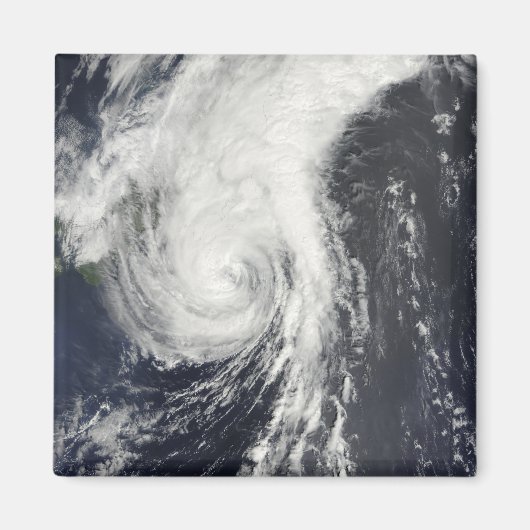 トロピカルストームクロヴァン マグネット (正面)