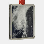 トロピカルストームクロヴァン メタルオーナメント (右)