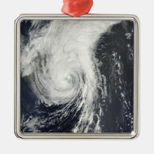 トロピカルストームクロヴァン メタルオーナメント (正面)