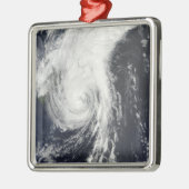 トロピカルストームクロヴァン メタルオーナメント (左)