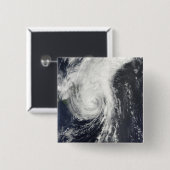 トロピカルストームクロヴァン 缶バッジ (正面&裏面)