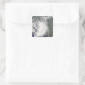 トロピカルストームクローデット スクエアシール (バッグ)