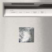 トロピカルストームクローデット マグネット (インサイチュ (食洗機))