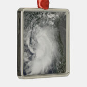 トロピカルストームクローデット メタルオーナメント (右)