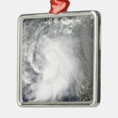 トロピカルストームクローデット メタルオーナメント (左)