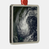トロピカルストームグスタフ2 メタルオーナメント (右)