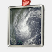 トロピカルストームグスタフ2 メタルオーナメント (左)