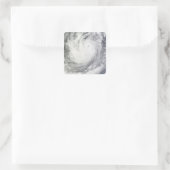 トロピカルストームケサナ スクエアシール (バッグ)