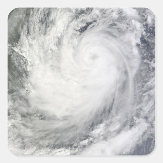 トロピカルストームケサナ スクエアシール (正面)