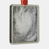 トロピカルストームケサナ メタルオーナメント (右)