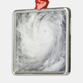 トロピカルストームケサナ メタルオーナメント (左)