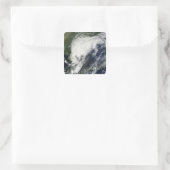 トロピカルストームコムパス スクエアシール (バッグ)