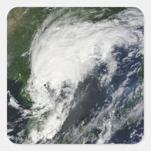 トロピカルストームコムパス スクエアシール (正面)