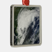 トロピカルストームコムパス メタルオーナメント (右)