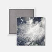 トロピカルストームコンソン マグネット (正面/裏面)