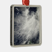 トロピカルストームコンソン メタルオーナメント (右)