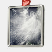 トロピカルストームコンソン メタルオーナメント (左)