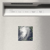 トロピカルストームシンディ マグネット (インサイチュ (食洗機))