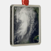 トロピカルストームシンディ メタルオーナメント (右)