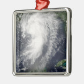 トロピカルストームシンディ メタルオーナメント (左)