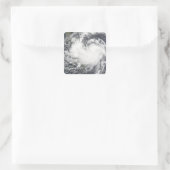 トロピカルストームチャンチュ2 スクエアシール (バッグ)