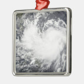 トロピカルストームチャンチュ2 メタルオーナメント (左)