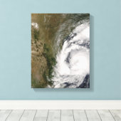 トロピカルストームドリー キャンバスプリント (インサイチュ (ウッドフロア))